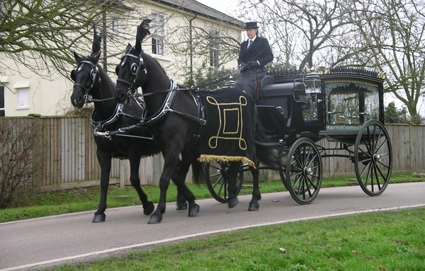 Carlton Carriages