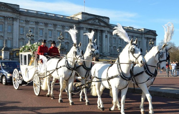 Carlton Carriages