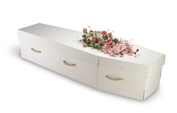 Cardboard Coffin