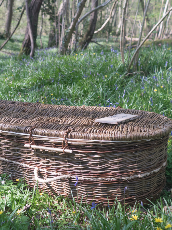 Natural Willow Coffin - Sussex Willow Coffins