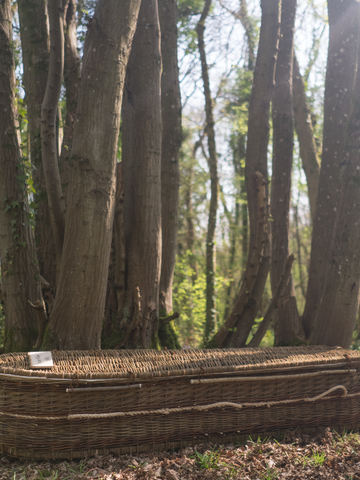 Natural Willow Coffin - Sussex Willow Coffins
